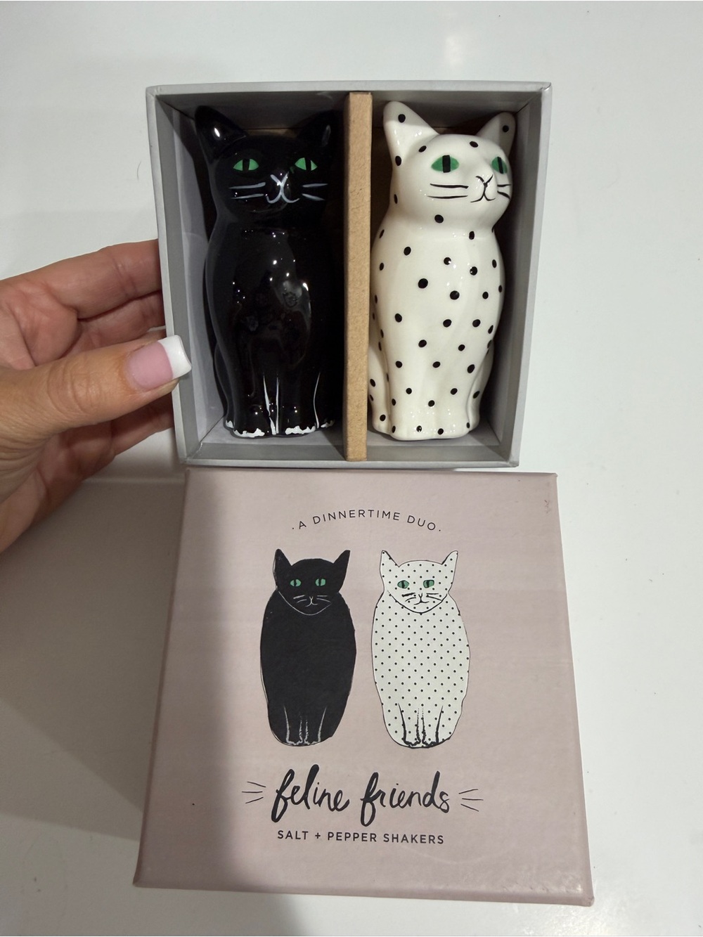 Feline Friends Cat Salt & Pepper Shakers - Black and White